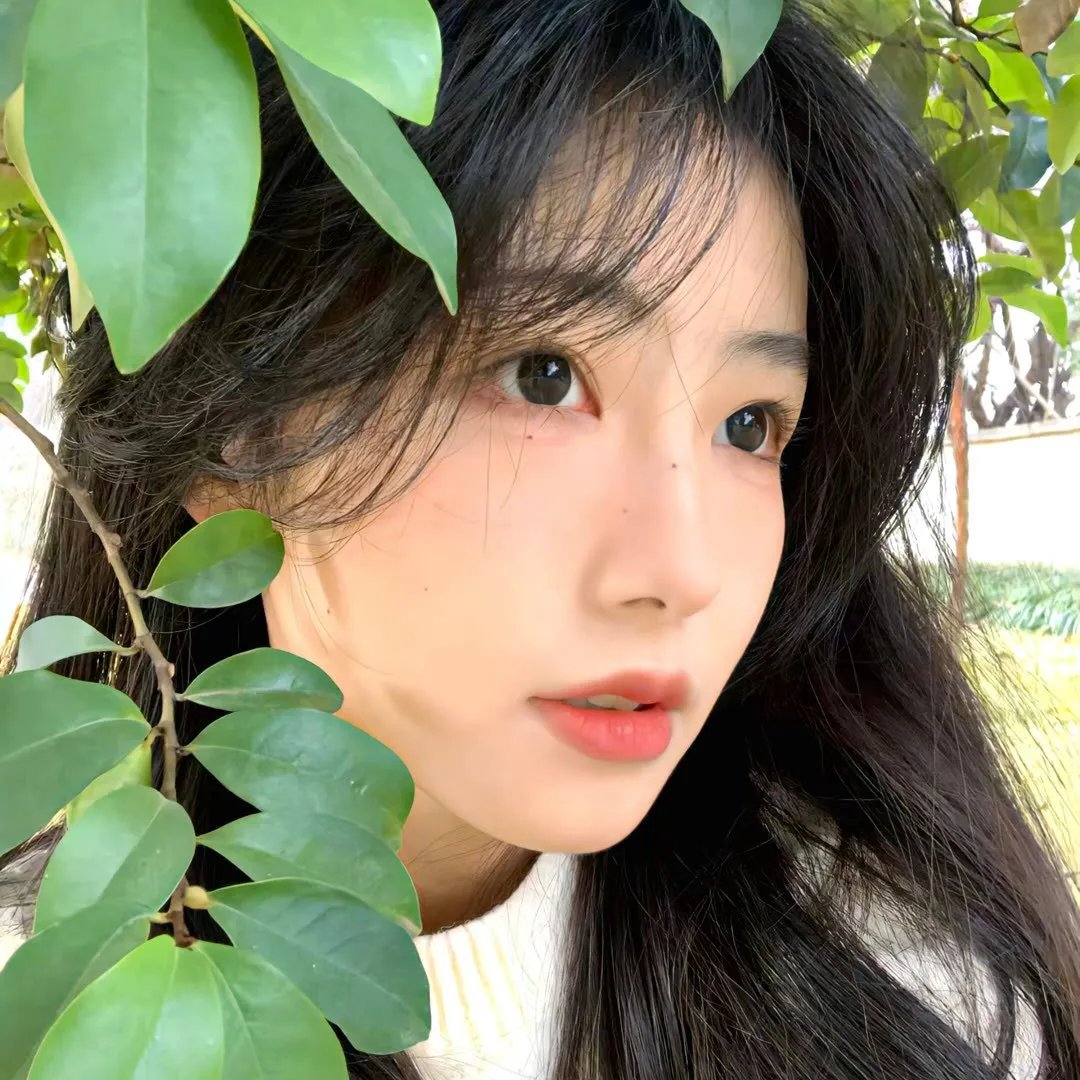 天下人家